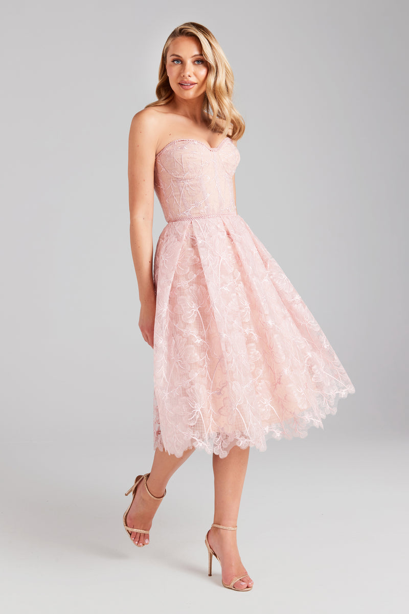 Olivia Blush Dress